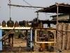 kpayo - benin200901-09.jpg