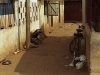 Comè - benin200901-19.jpg