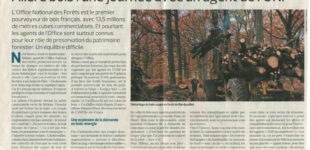 Le Figaro - 23 novembre 2010
