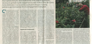 Le Figaro - 23 novembre 2010