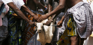 Fête du vaudou au Bénin - 2009