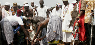 Fête du vaudou au Bénin - 2009