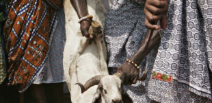 Fête du vaudou au Bénin - 2009