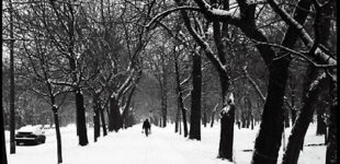 Montréal - novembre 2006