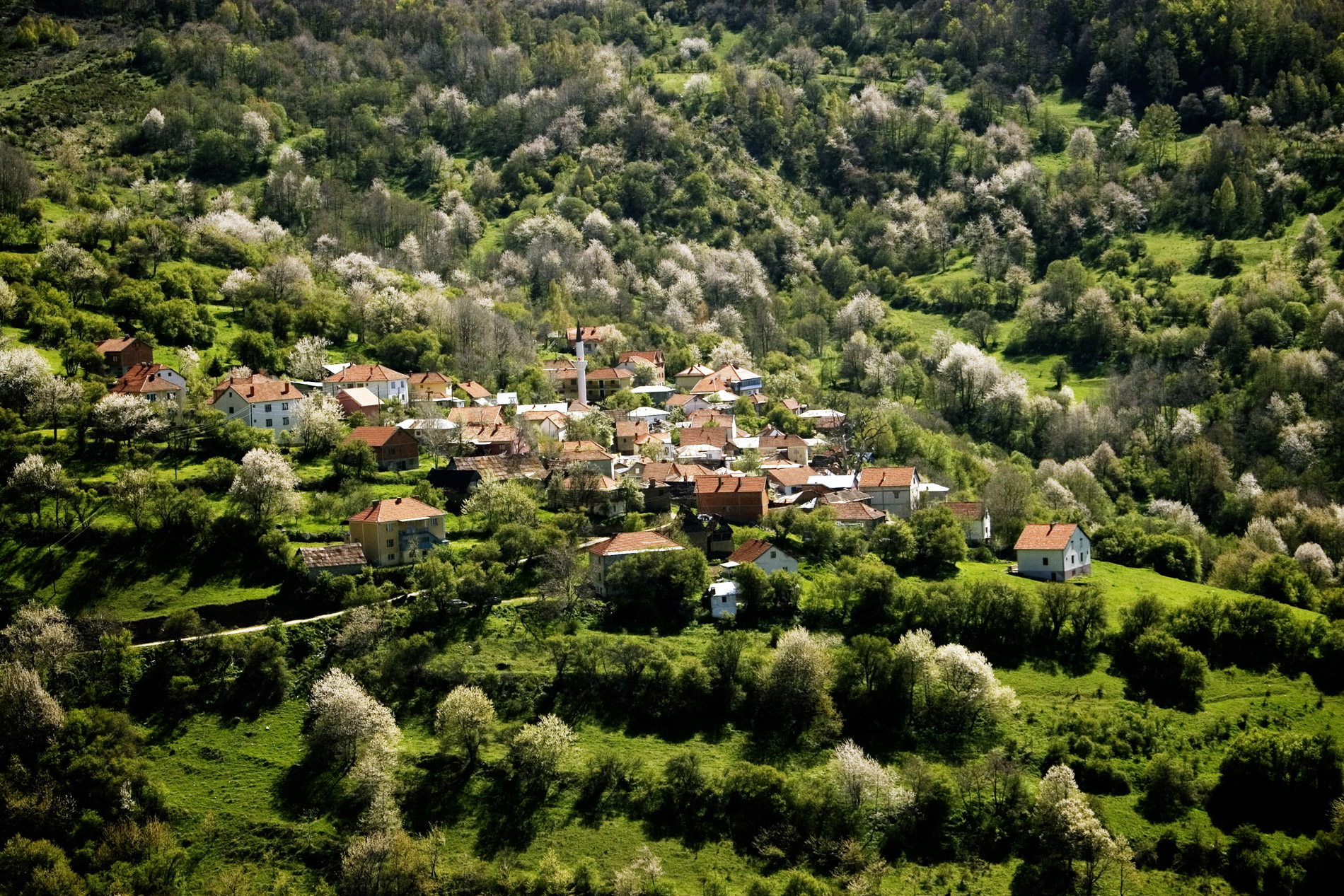 gorani 2009