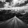 The Road North